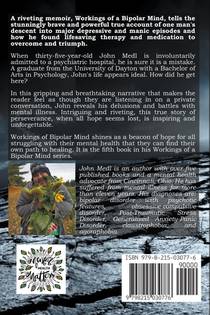 Workings of A Bipolar Mind 1-3 Omnibus achterzijde