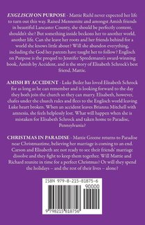 Amish by Accident Trilogy achterzijde