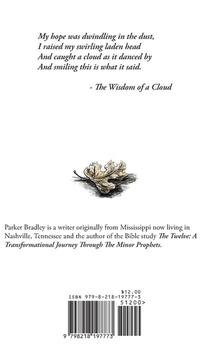 The Wisdom Of A Cloud achterzijde