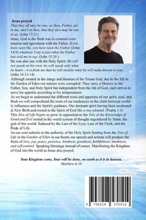 A Perspective on Spiritual Warfare achterzijde