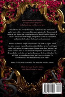 Heir of Illusion achterzijde