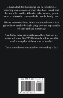 Amish Secret Love achterzijde