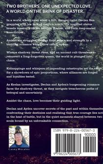 An Archer's Awakening achterzijde