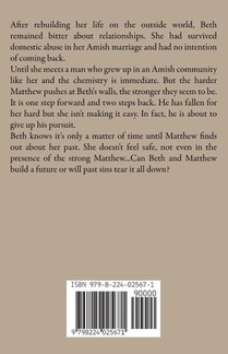 The Amish Golden Lights achterzijde