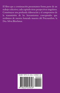 Teoría y clínica en la obra de Silvia Bleichmar achterzijde
