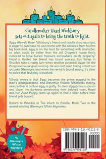 Too Much to Candle achterzijde