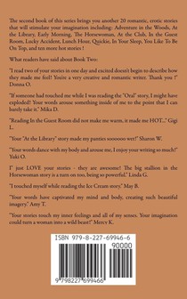 20 Sexy Stories achterzijde