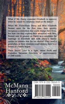 Their Secret Love achterzijde