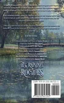 It's Raining Rogues achterzijde