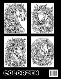 Roseate Riders achterzijde