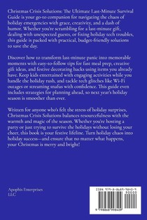 Christmas Crisis Solutions achterzijde