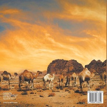 Art and Entertainment in Ancient Africa - Ancient History Books for Kids Grade 4 | Children's Ancient History achterzijde