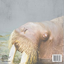 What are Mammals? Animal Book for 2nd Grade | Children's Animal Books achterzijde