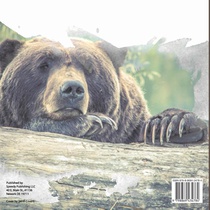 Why Do Bears Hibernate? Animal Book Grade 2 | Children's Animal Books achterzijde