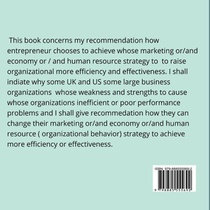 Organizational Behavioral Economy Strategies achterzijde