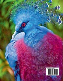 Hayley M Morgan: Nature Bird Adult Coloring Book Luxury Edit achterzijde