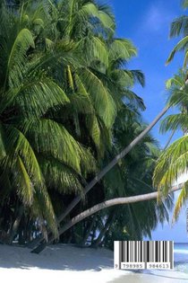 Lighthouse Reflections achterzijde