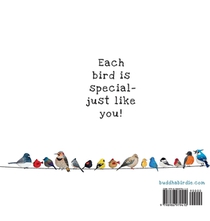 Little Birdie Buddies of Wisconsin achterzijde