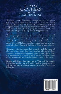 Realm Crashers and the Shadow King achterzijde