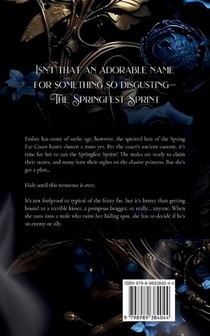 The Springfest Sprint achterzijde