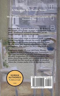 Artifice achterzijde