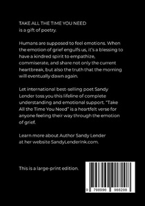 Take All the Time You Need achterzijde