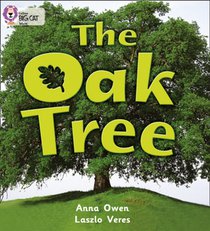 The Oak Tree