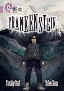 Frankenstein voorzijde