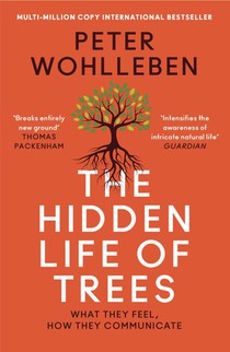 The Hidden Life of Trees