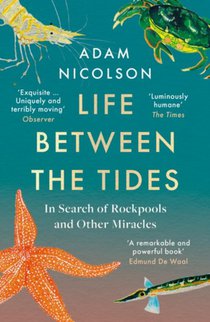 Life Between the Tides