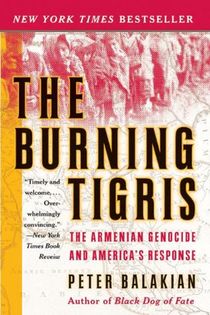 The Burning Tigris