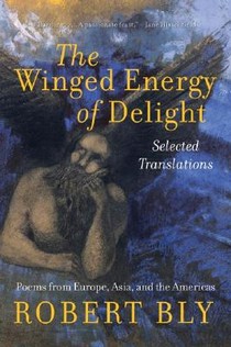The Winged Energy of Delight