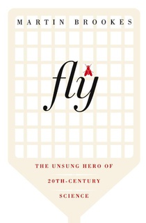 Fly
