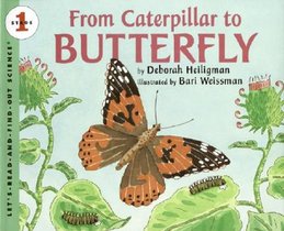 From Caterpillar to Butterfly Big Book