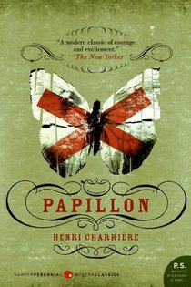 Papillon voorzijde