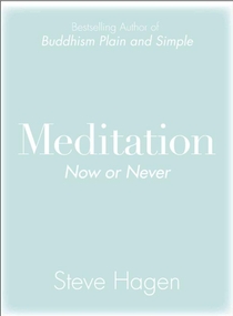 MEDITATION NOW OR NEVER