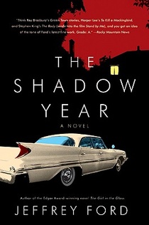 The Shadow Year