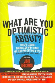 What Are You Optimistic About?