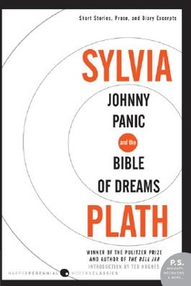 Johnny Panic and the Bible of Dreams