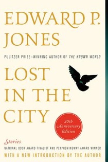 Lost in the City - 20th anniversary edition voorzijde