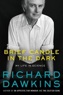 Brief Candle in the Dark