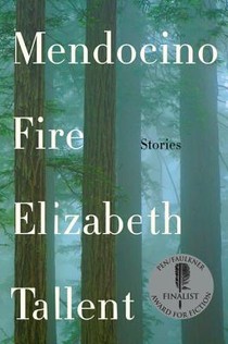 MENDOCINO FIRE
