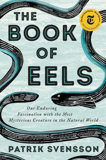 The Book of Eels voorzijde