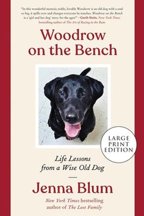 Woodrow on the Bench