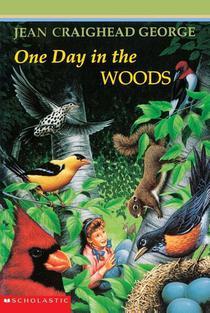 One Day in the Woods