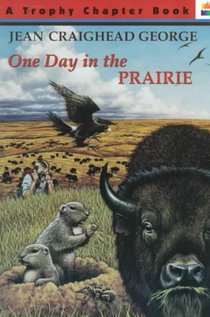 One Day in the Prairie