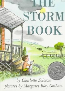 The Storm Book voorzijde