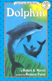 Dolphin voorzijde