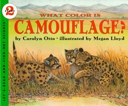 What Color Is Camouflage?