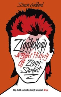 Ziggyology